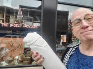 Jim, owner of "Horsefeathers", is positioned outside "Insect Asylum" in Chicago, He is holding a sizable white unpainted cicada prominently, attracting attention from shoppers nearby.