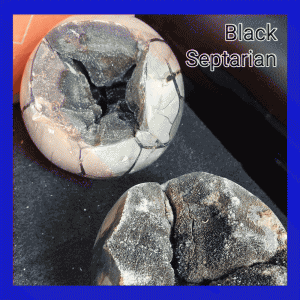 Black Septarian nodules